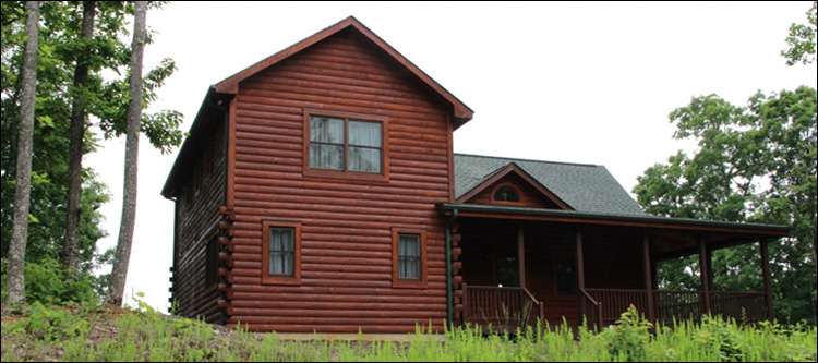 Professional Log Home Borate Application  Norfolk, Virginia